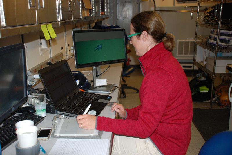 Liz at her workstation on NOAA Ship Pisces. On this expedition, Liz is keeping an eye out for cephalopods in the images taken by Sentry.