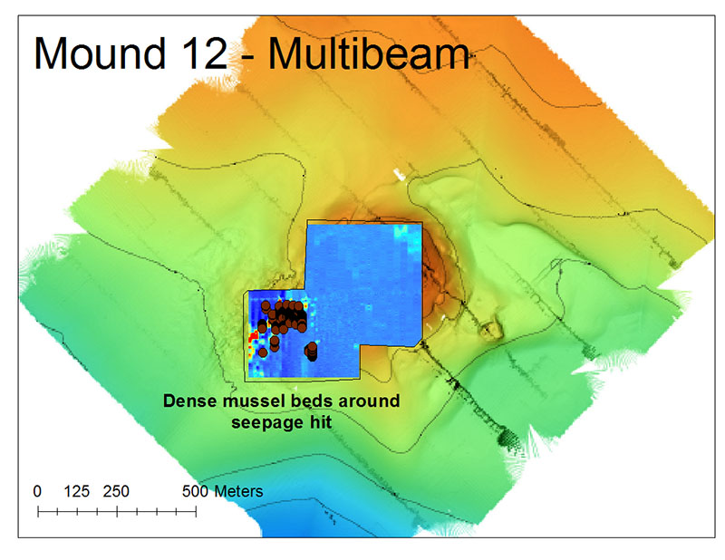 This high-resolution bathymetric map of a mussel bed was created using AUV Sentry data. The red dots designate dense clusters of mussels found at a seep.