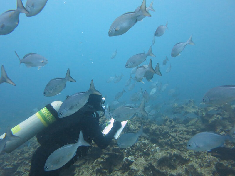 Diver Brian Hauk doing surveys in the cold.