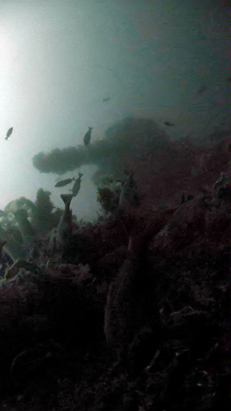 The number 5 (aft deck) five-inch gun of the USS Abner Read imaged via the project’s remotely operated vehicle.