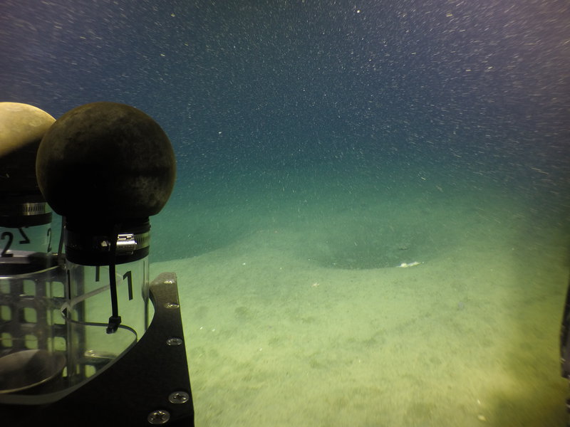 Figure 3: Pockmark-like features in the soft sediment along the start of the Yogi ROV transect along the accumulation resembling a fan or debris field to the southwest of the cone.