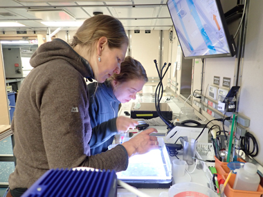 Connie Jaspers and Camilla Juul Dahl Jensen (left to right) sort through zooplankton samples on a light table in the lab on Research Vessel <i>Sikuliaq</i>.