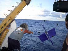 Drifter buoy deployment