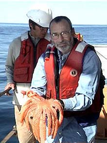 Large seastar