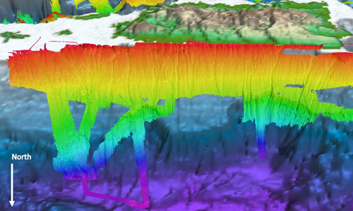 While exploring the waters off Puerto Rico during Océano Profundo in 2015, NOAA Ocean Exploration mapped a section of the tilted carbonate platform, which includes several major canyons, north of the island. Our modern high-resolution bathymetry is seen here overlaid on satellite data of the territory and the surrounding waters.