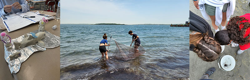 Mystic Aquarium’s Ocean Exploration Adventure program included in-class and field-based elements to introduce students to ocean ecosystems, organisms, and careers.