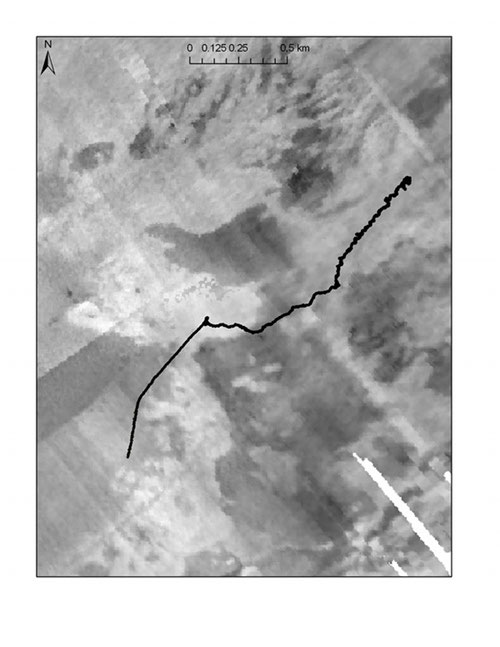 EM302 backscatter of the seamount showing ROV dive track (in black) which traveled from right to left up the seamount.