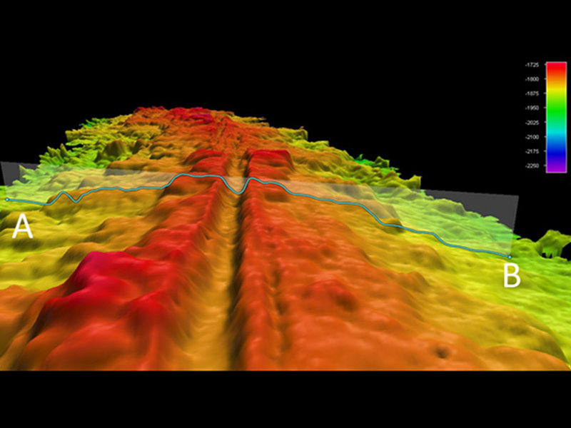 Oblique angle showing detail of gridded EM302 multibeam bathmetry along Western Galápagos Rift.