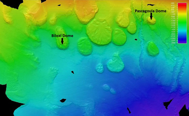 The seafloor off the coast of southeastern Louisiana. Greens and Orange represent the shallowest water - green is deeper - and blues represent the deepest water. The tops of salt domes are the more or less flat-topped circular features. Sometimes the salt cores get near the seafloor itself; sometimes, the core remains buried by younger sediments.  The dome tops in this picture are some of hundreds in the northern Gulf of Mexico.