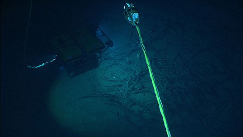 View from Seirios of Little Hercules searching in midwater. Between the ROV and the camera is a large web-like mucus feeding structure.