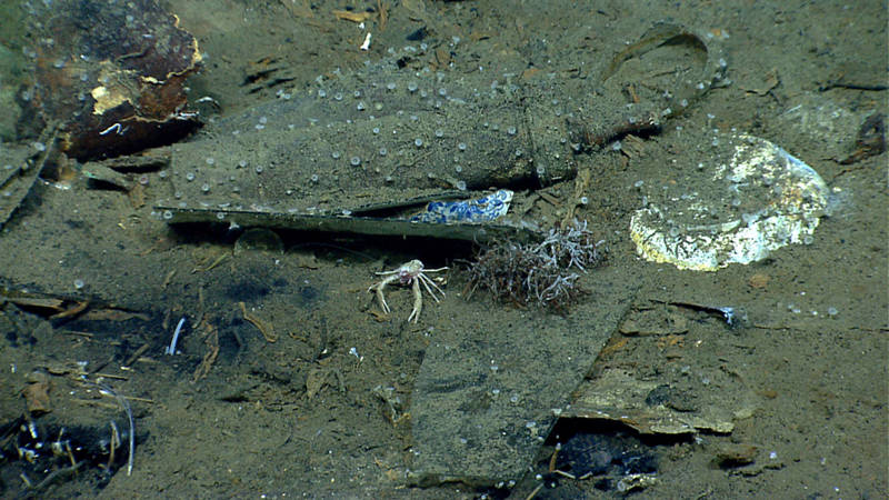 On a shipwreck, even the smallest detail helps archaeologists assemble the story of a ship’s history.