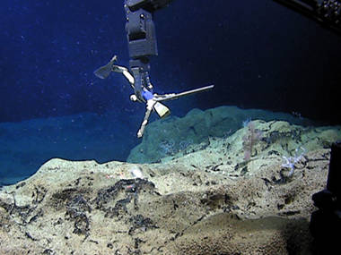 Leg 4 Dive 1: South of Oahu