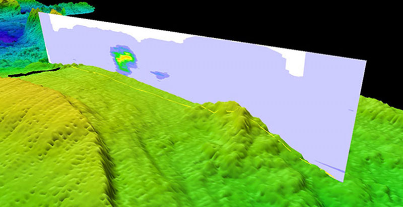 Hydrothermal vent plume visualization at 17°N. The cross-section shows particle and oxidation-reduction potential anomalies, indicators of vent activity.