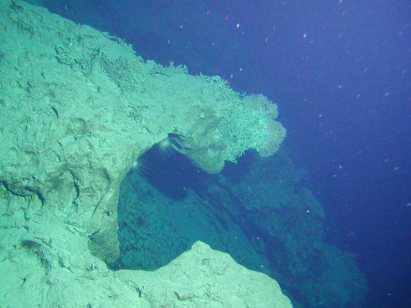 the submerged, eroded, ancient reef of these islands had an intimidating topography at many sites - with overhanging ledges, box canyons, ridges, huge domes.