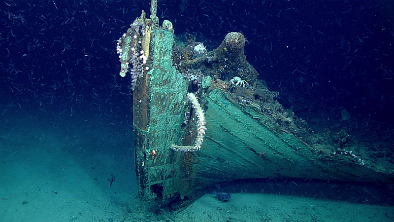 Unidentified wooden shipwreck in the Gulf of Mexico.