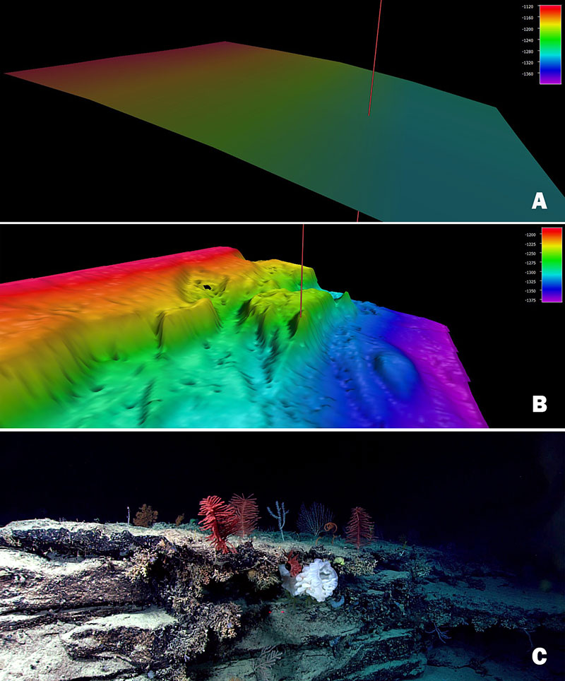 Prior to the Windows to the Deep 2018 expedition, this section of the Blake Escarpment appeared to be an area of low slope with no distinct features based on satellite altimetry. Image A shows satellite altimetry (Smith and Sandwell, 2014) at the Dive 04 site on “Blake Escarpment South.” During the expedition, multibeam mapping revealed a series of terraced features (Image B) and ROV exploration (at the site of the red mark) documented a highly diverse and dense community of deep-sea corals and sponges that were observed throughout the dive (Image C).