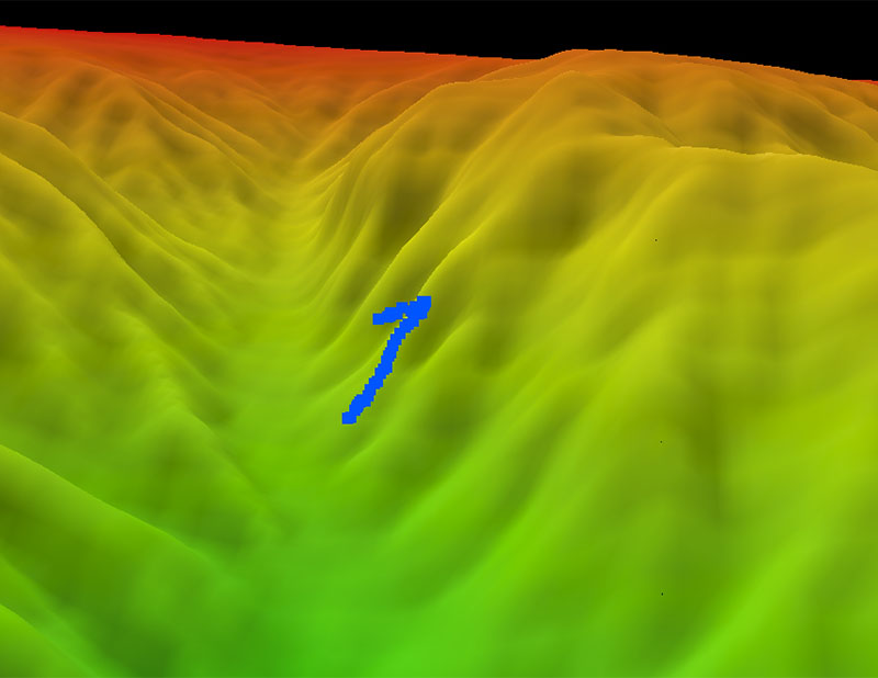 Map showing the dive track of dive 6 of Deep Connections 2019 expedition. Scale is water depth in meters.