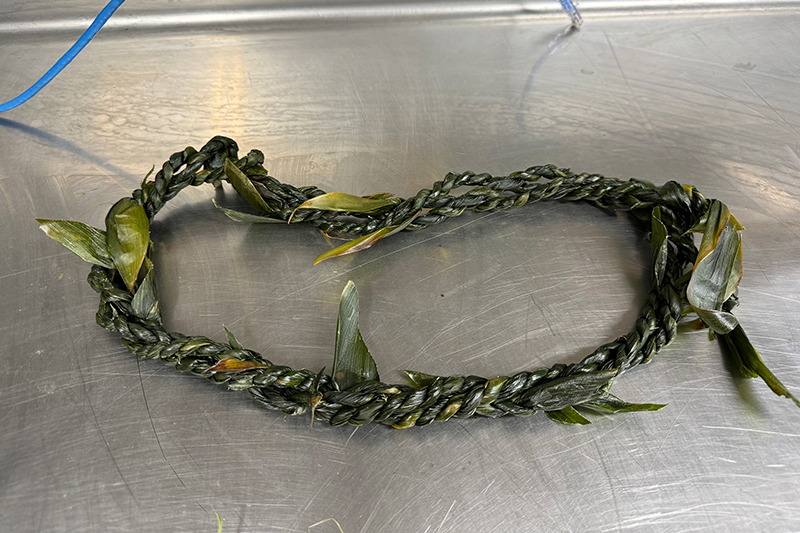 Image of cultural liaison Malia’s lei that she made over a year ago which has been stored in the fridge for preservation. Malia’s lei is made up of three smaller lei which makes it thicker with a fuller appearance.