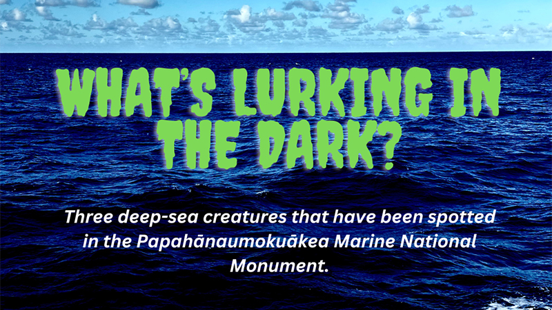 Ocean scene with text asking about deep-sea creatures in Papahānaumokuākea Marine National Monument.