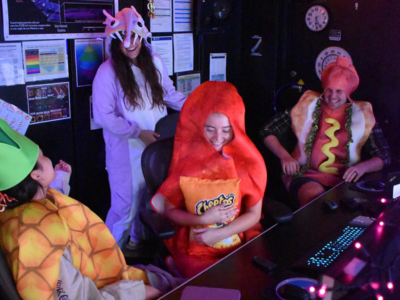 Four people in food and animal costumes in a dark room with pink lights.