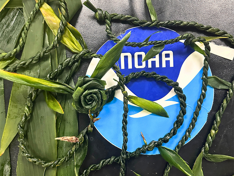 NOAA logo surrounded by braided green leaves and a plant rosette.