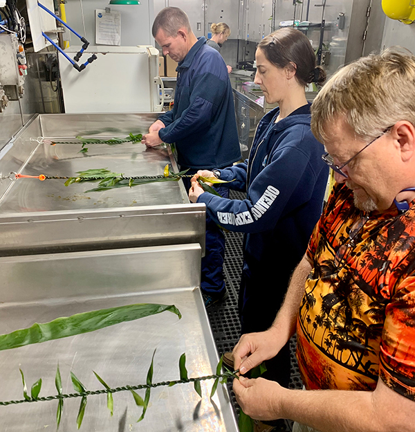 Commanding Officer for NOAA Ship Okeanos Explorer, Captain Colin Little, and crew hiloʻing their lei lāʻī during the Beyond the Blue: Papahānaumokuākea Mapping 1 expedition.