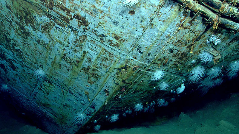 Underwater shipwreck with rust and marine life.