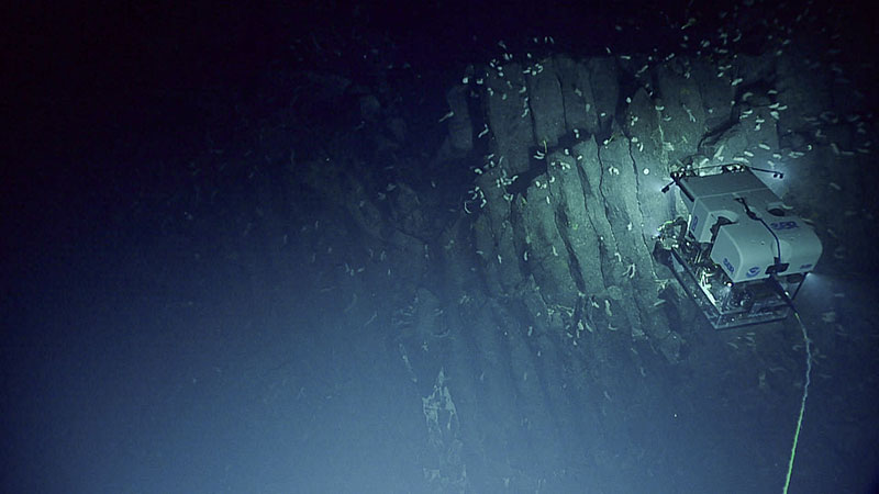 ROV exploring ridged rock formations on the ocean floor, with small marine life visible.