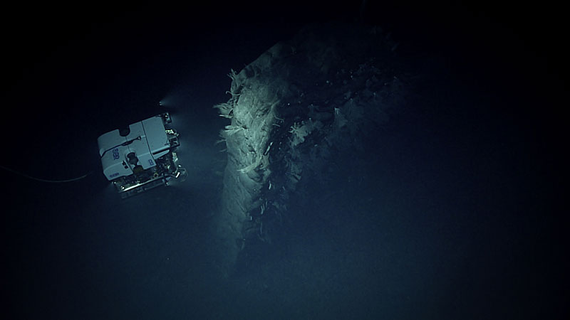 An ROV exploring a large rocky structure in the deep ocean, illuminated by its lights.