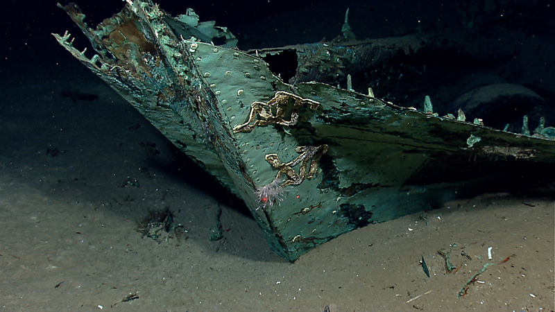 Shipwreck submerged on ocean floor with encrusted marine life.