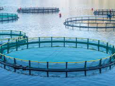 Aquaculture pens